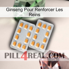 Ginseng For Reinforcing Kidney cialis4